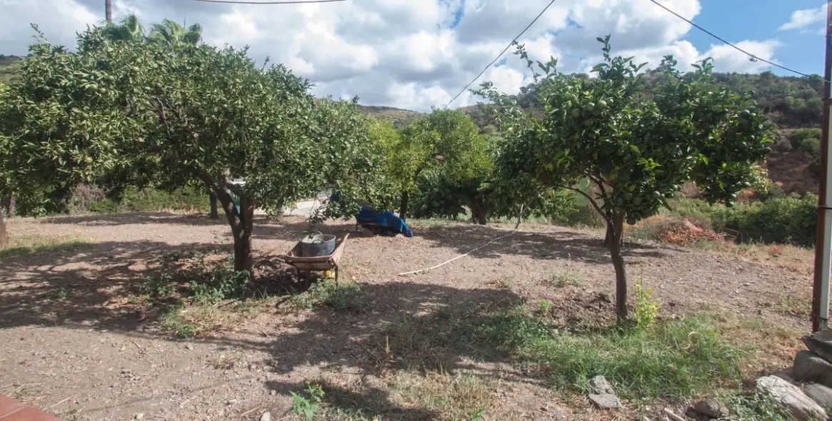 Продажа финки в Estepona 19