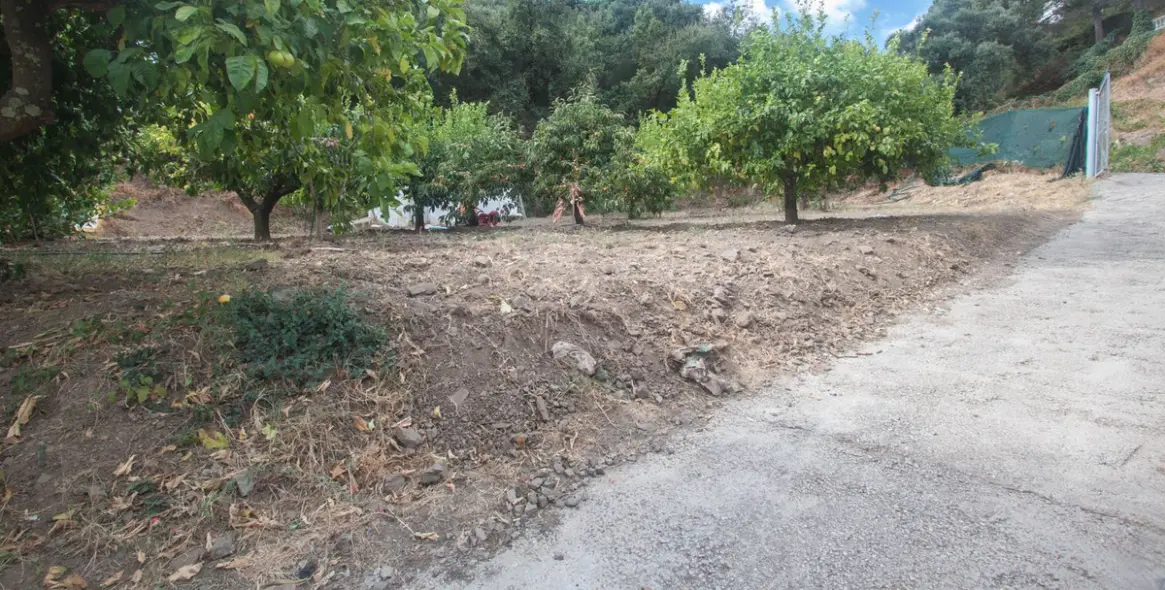 Sale of finca - cortijo in Estepona 24