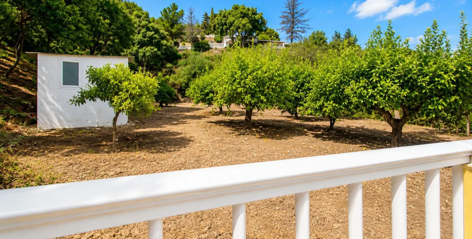 Продажа финки в Estepona 18