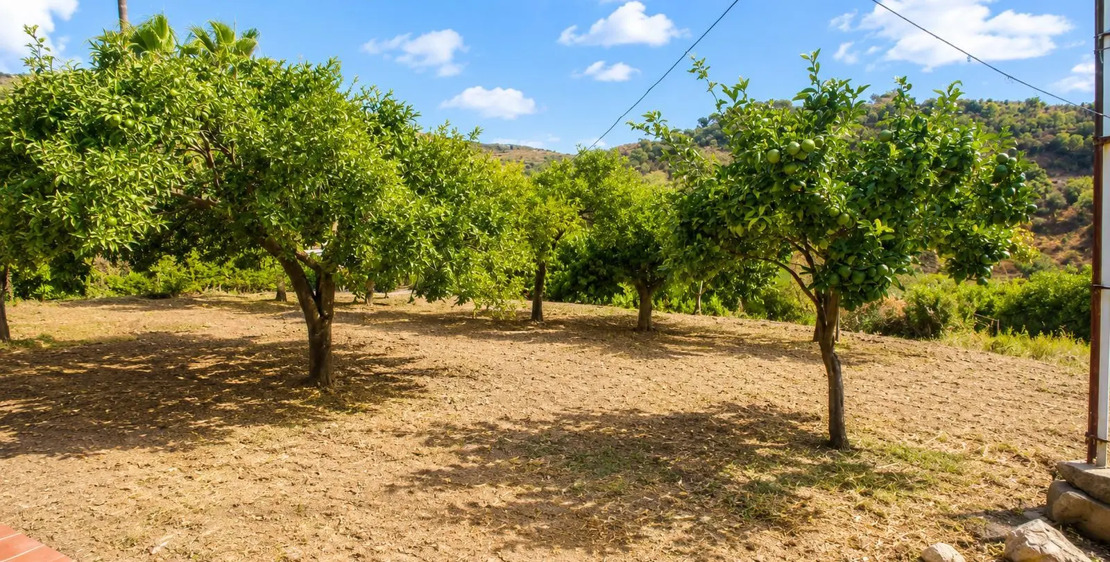 Продажа финки в Estepona 19