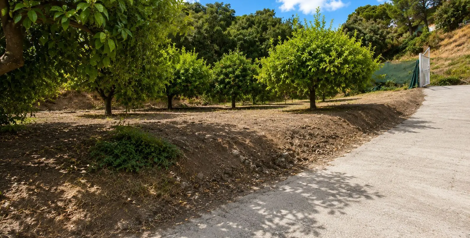 Продажа финки в Estepona 22