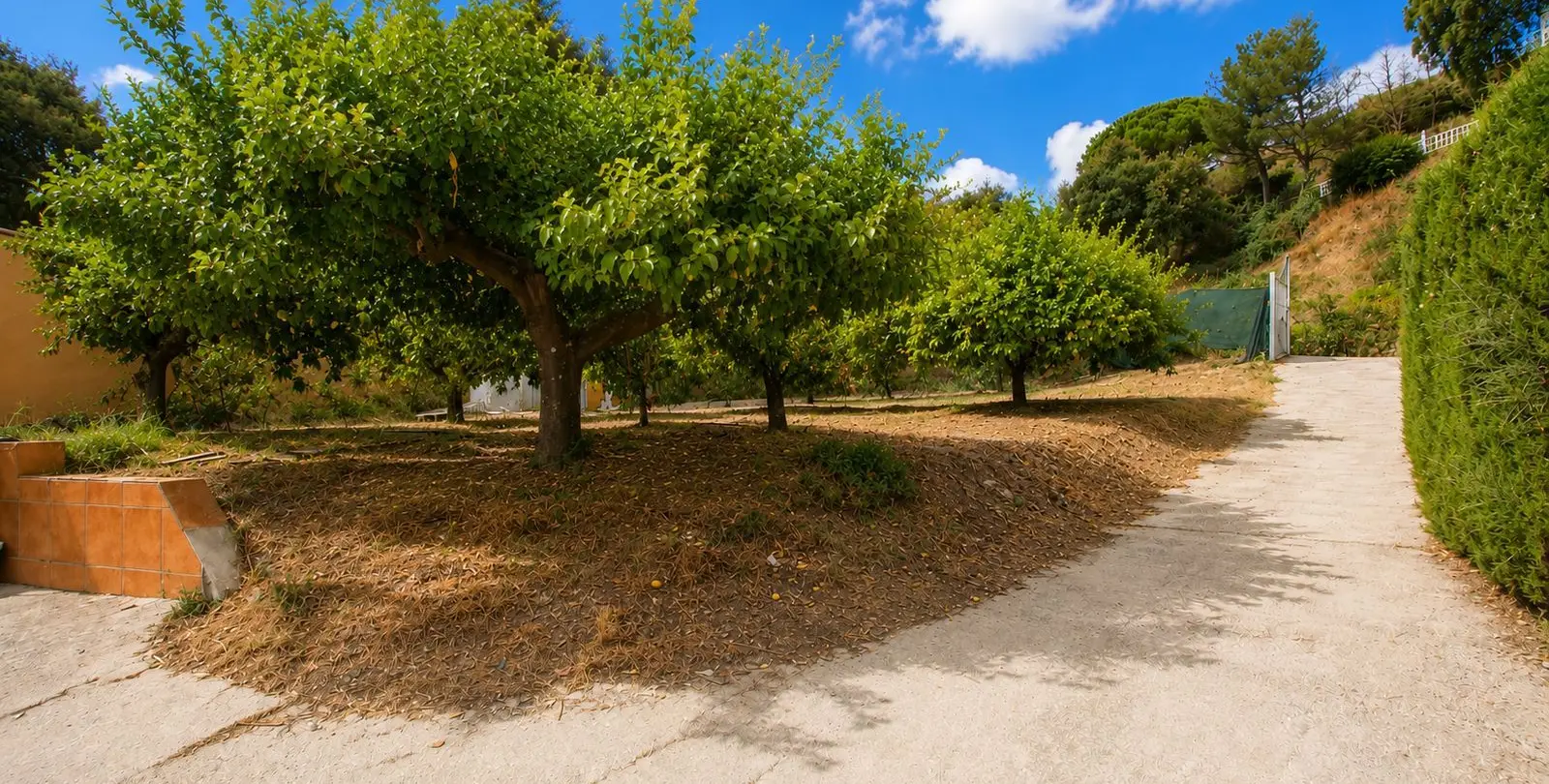 Продажа финки в Estepona 23