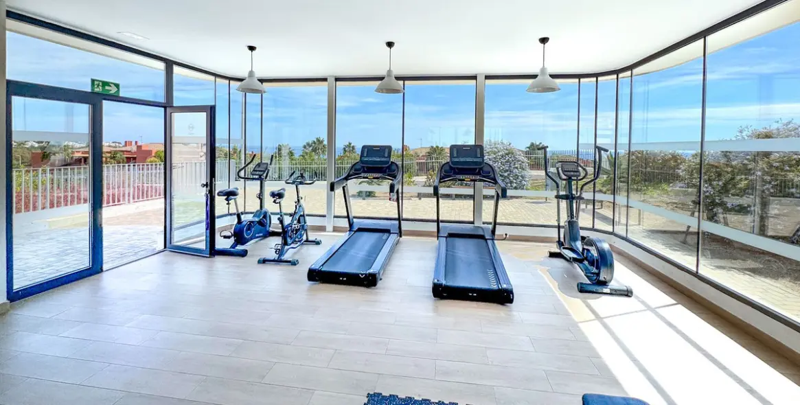 Sale of penthouse in Casares Playa 13