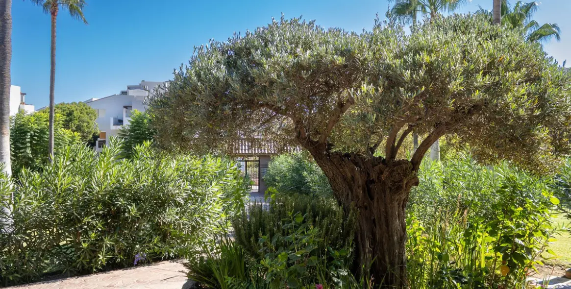 Продажа апартаментов на среднем этаже в La Cala de Mijas 32