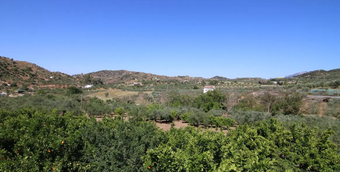 Sale of finca - cortijo in Monda 3
