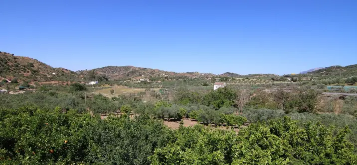 Sale of finca - cortijo in Monda 2