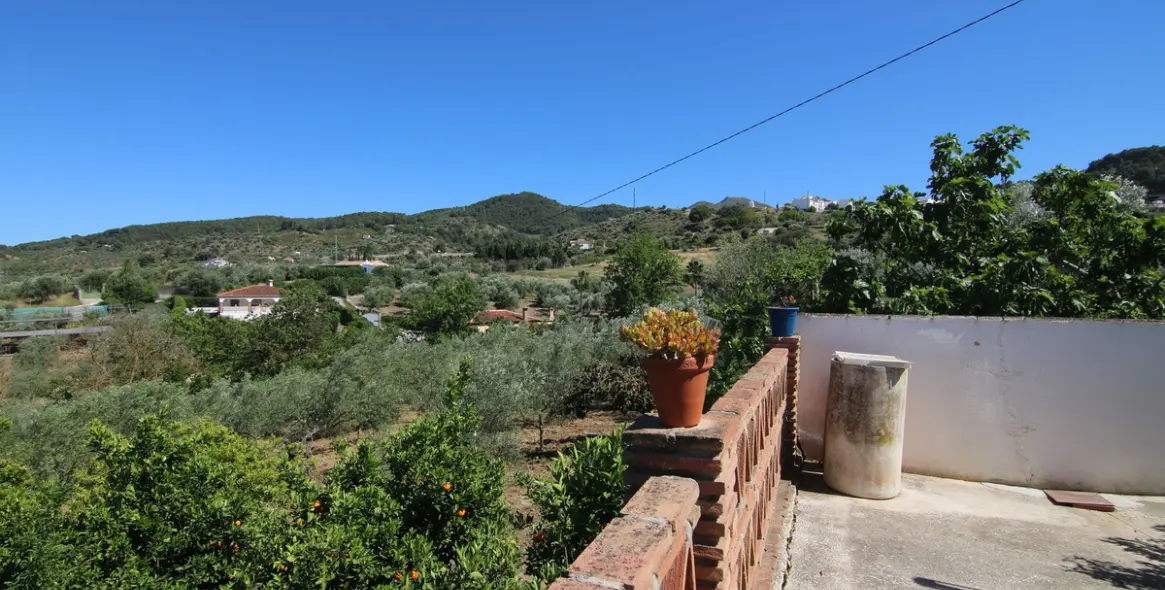 Sale of finca - cortijo in Monda 13