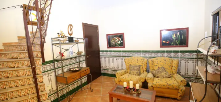Sale of detached villa in Benamargosa 4