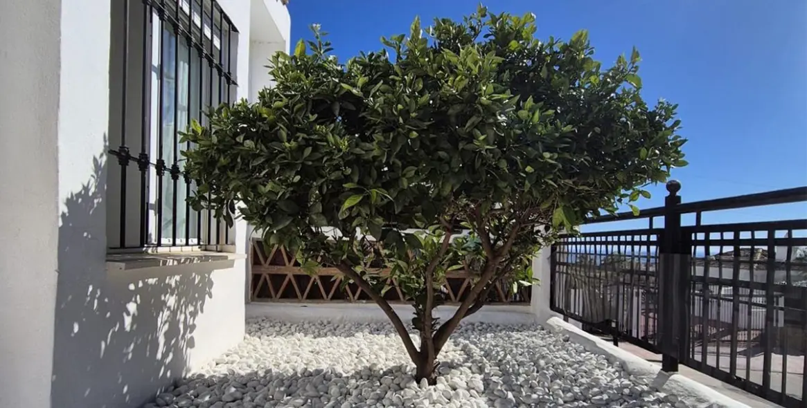 Продажа апартаментов на первом этаже в Benalmadena 3