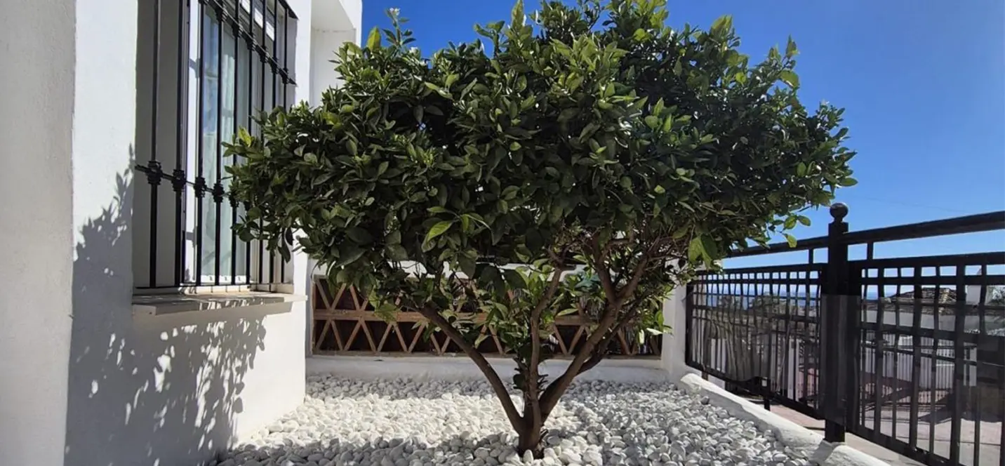 Sale of ground floor apartment in Benalmadena 2