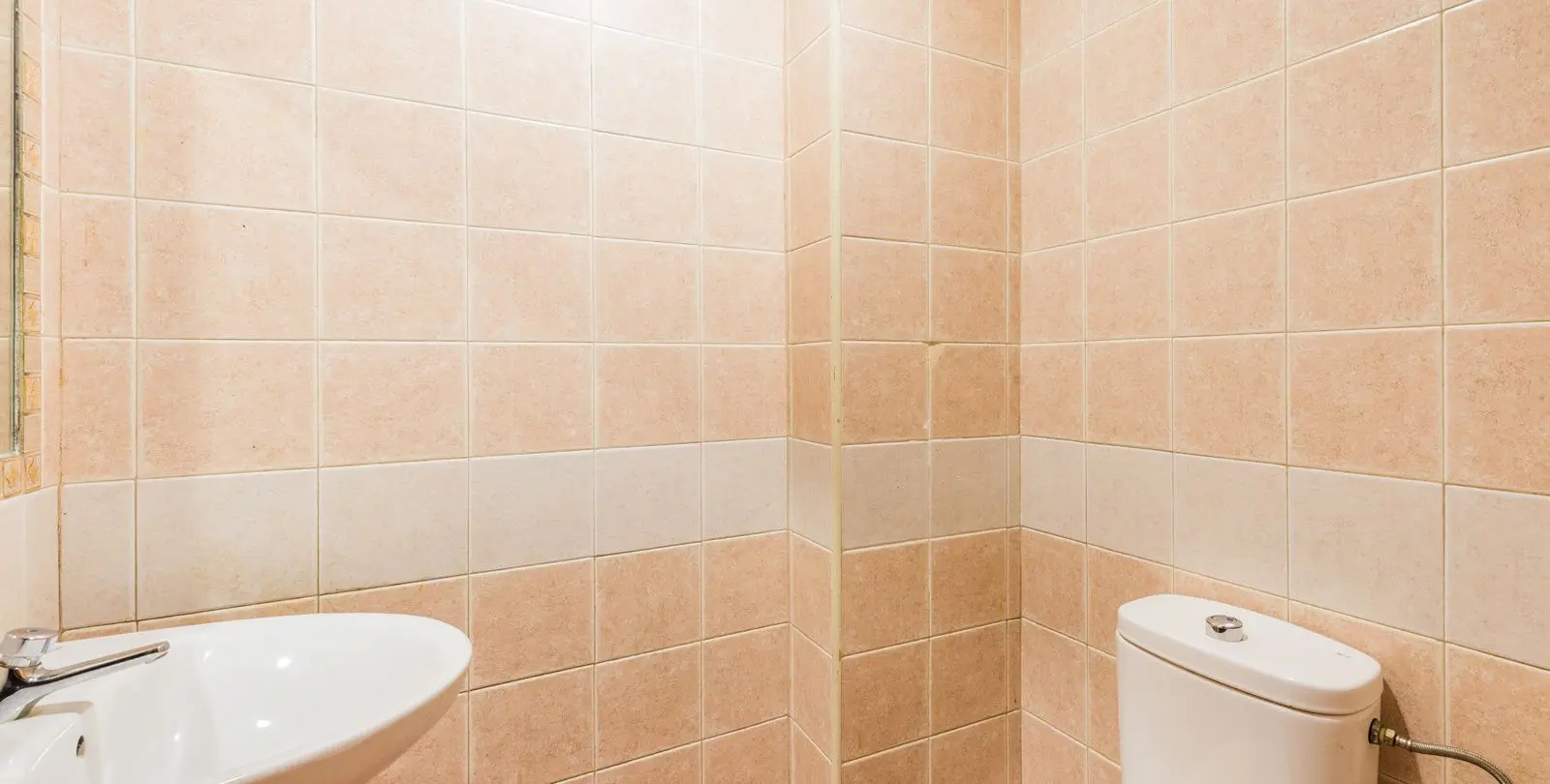 Sale of business in Fuengirola 7