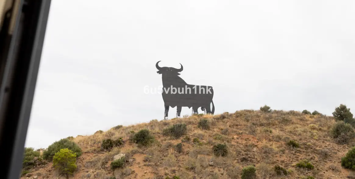 Продажа пентхауса в Fuengirola 13