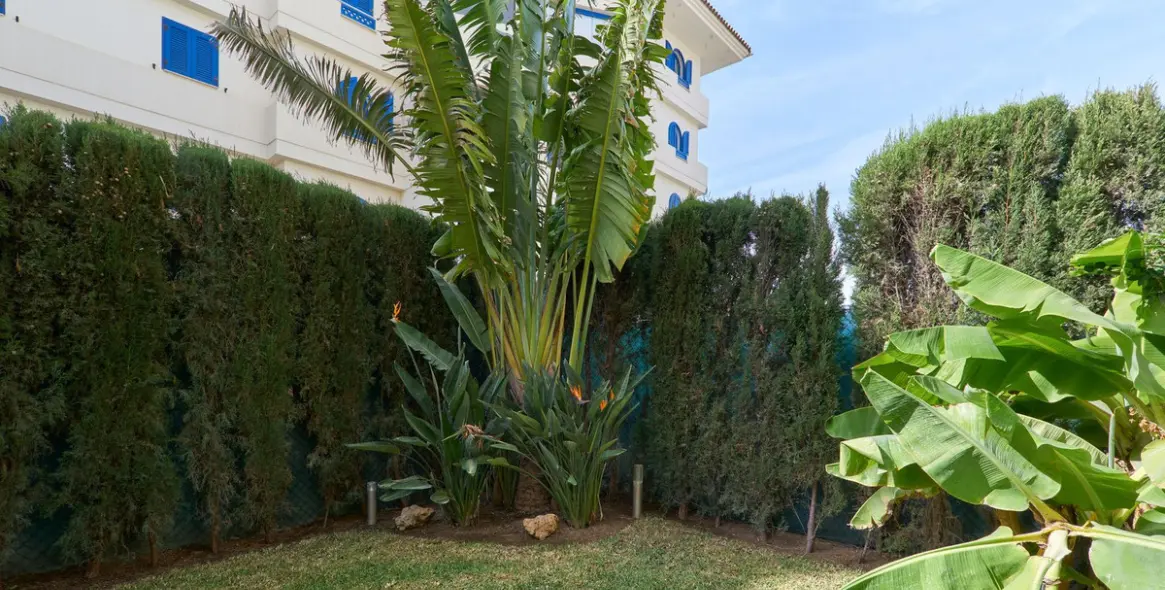 Sale of ground floor apartment in San Luis de Sabinillas 35