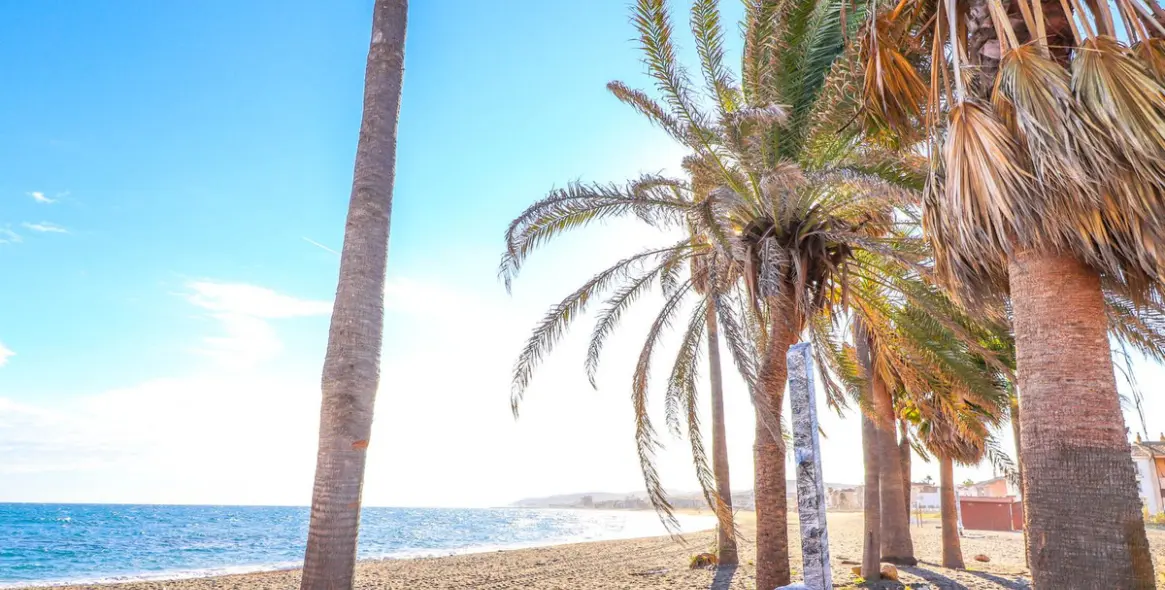 Sale of ground floor apartment in Casares Playa 10