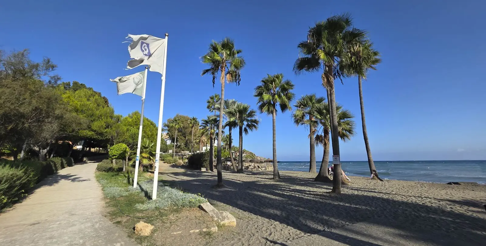 Sale of ground floor apartment in Casares Playa 45