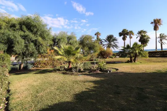 Image 55 thumb