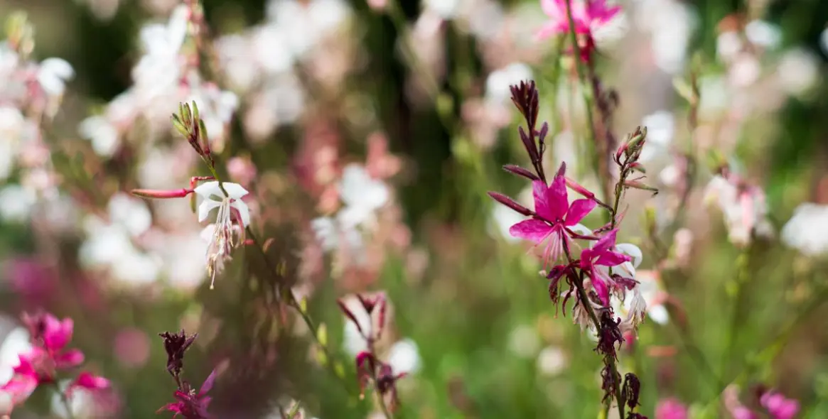 Продажа апартаментов на среднем этаже в Benalmadena 45