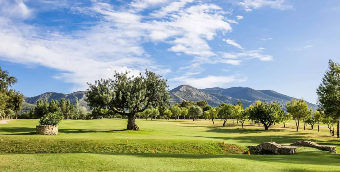 Sale of semi-detached house in Lauro Golf 24