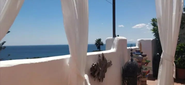 Sale of penthouse duplex in Casares Playa 0