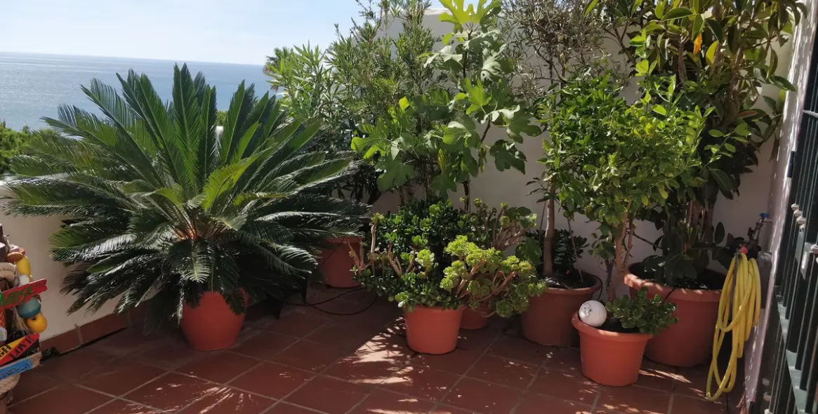 Продажа двухуровневого пентхауса в Casares Playa 4