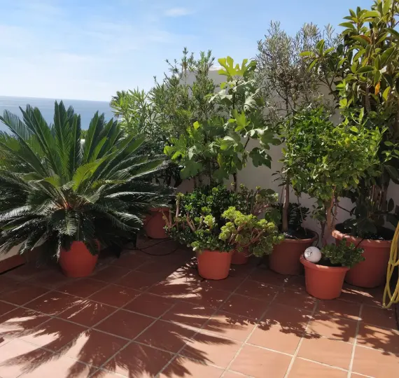 Sale of penthouse duplex in Casares Playa