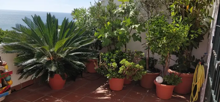 Sale of penthouse duplex in Casares Playa 3