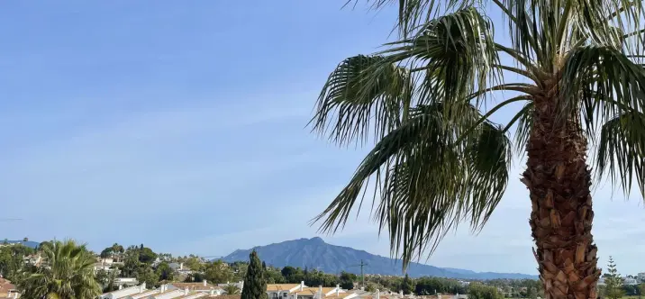 Penthouse duplex R4827628 1