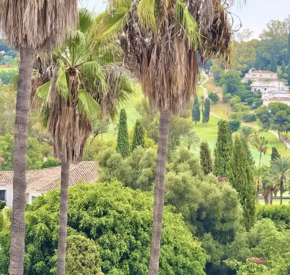 Penthouse duplex R4827628