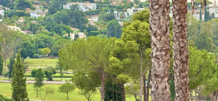 Penthouse duplex R4827628 4