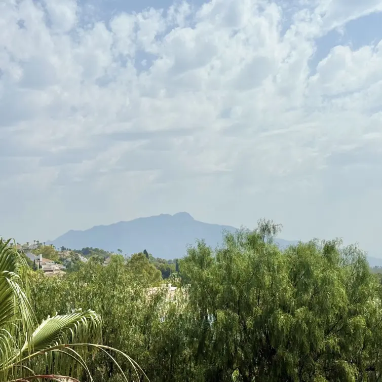 Sale of penthouse duplex in Benahavís