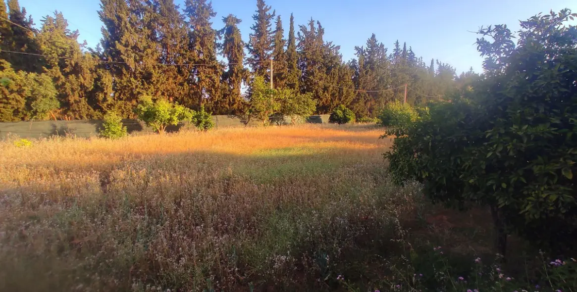 Продажа финки в La Cala 4