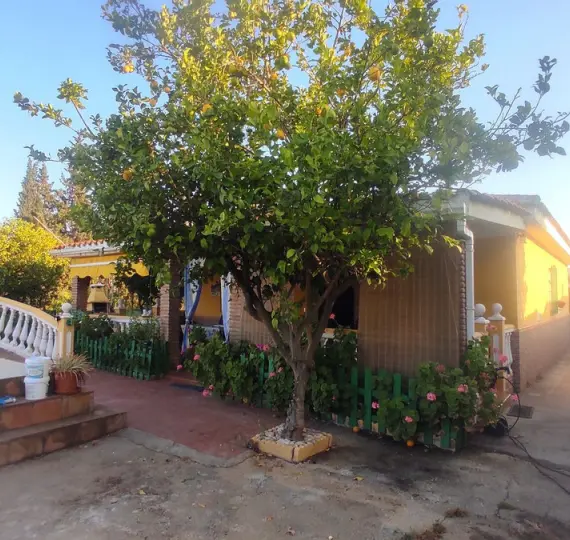 Sale of finca - cortijo in La Cala