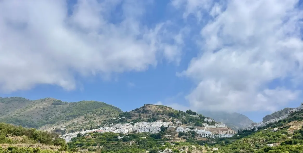 Sale of detached villa in Frigiliana 37