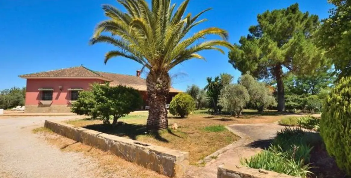 Sale of finca - cortijo in Arriate 10