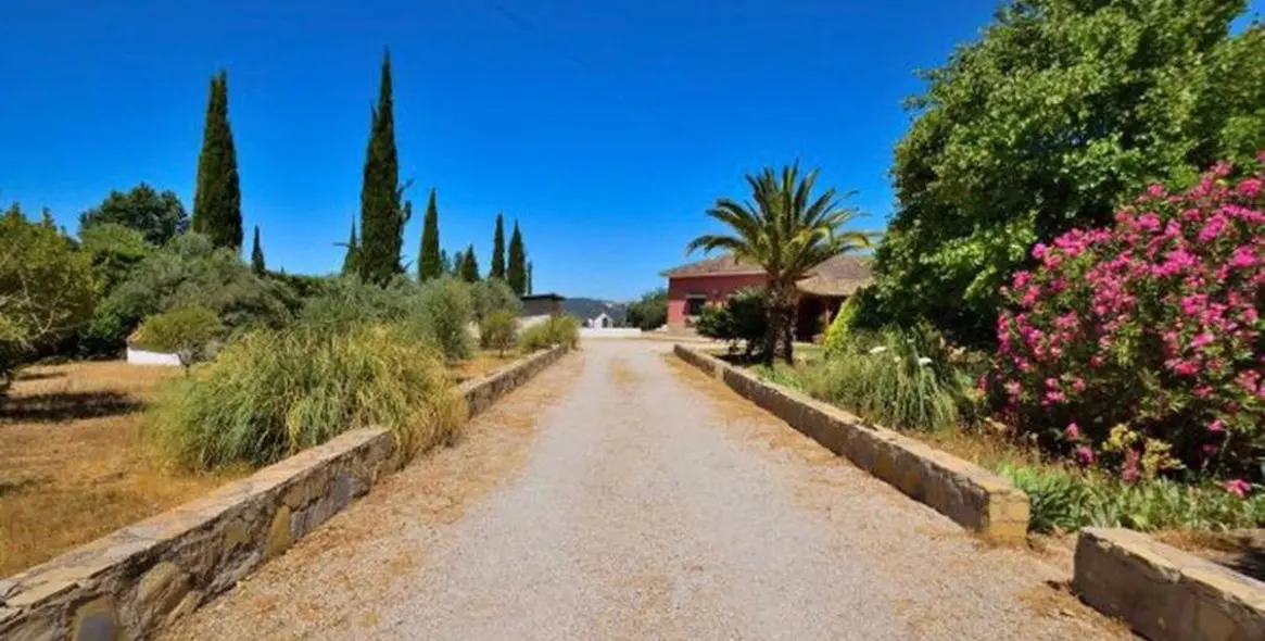 Sale of finca - cortijo in Arriate 11