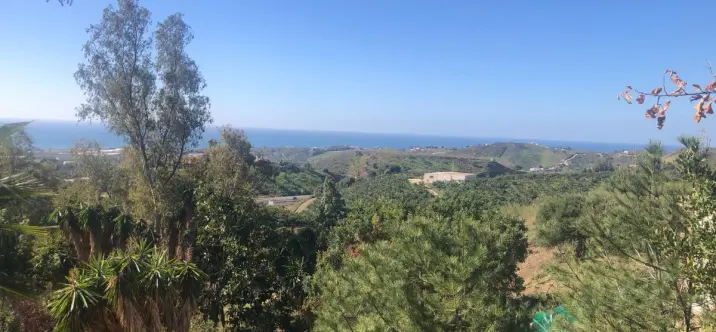 Продажа  отдельно стоящей виллы в Almayate 4