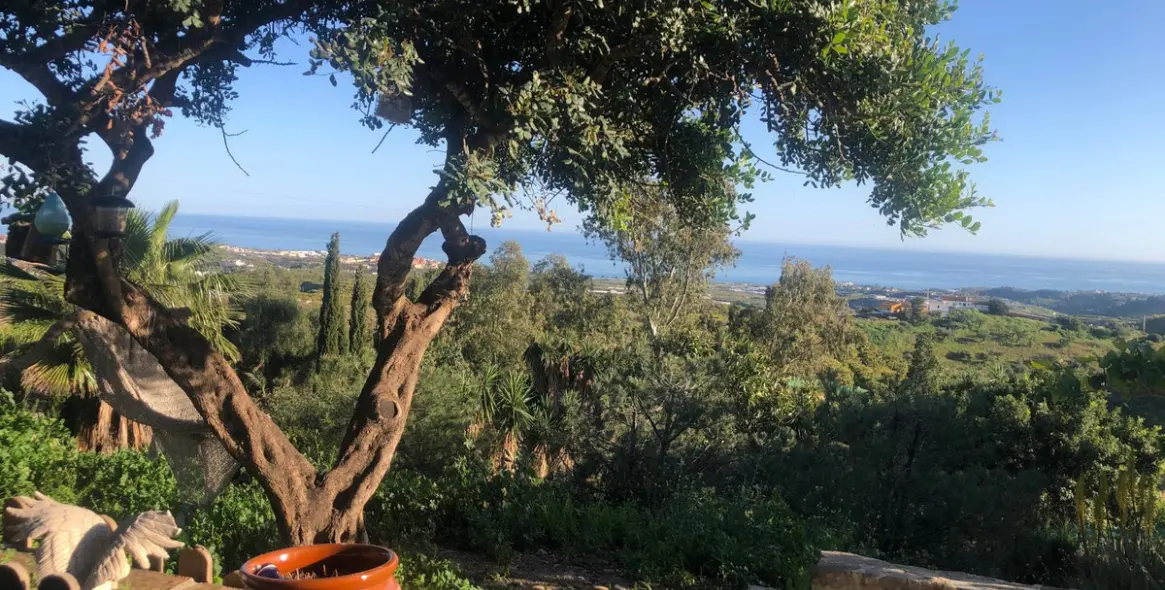 Продажа  отдельно стоящей виллы в Almayate 16