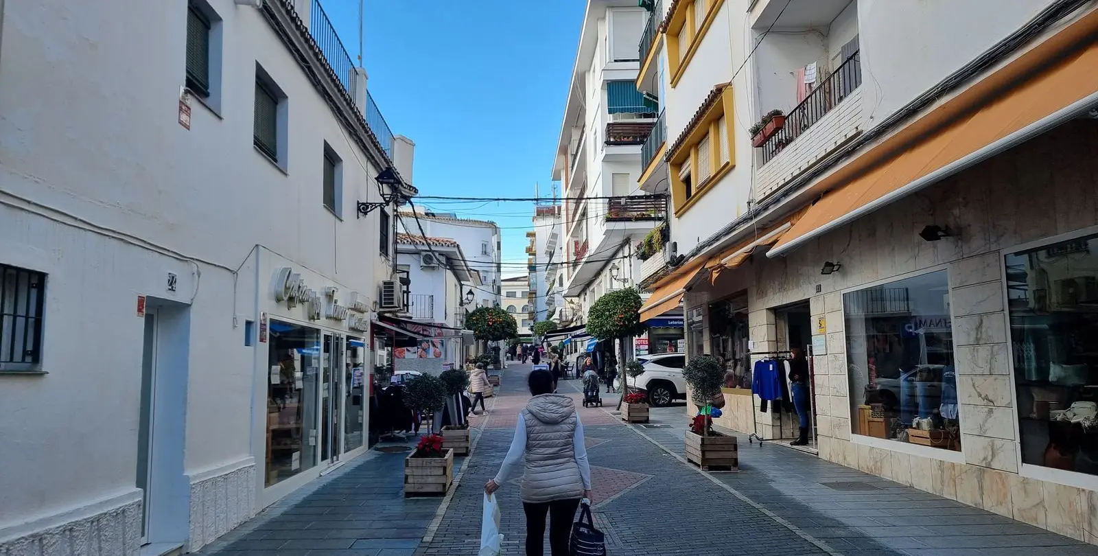 Sale of commercial premises in San Pedro de Alcántara 2