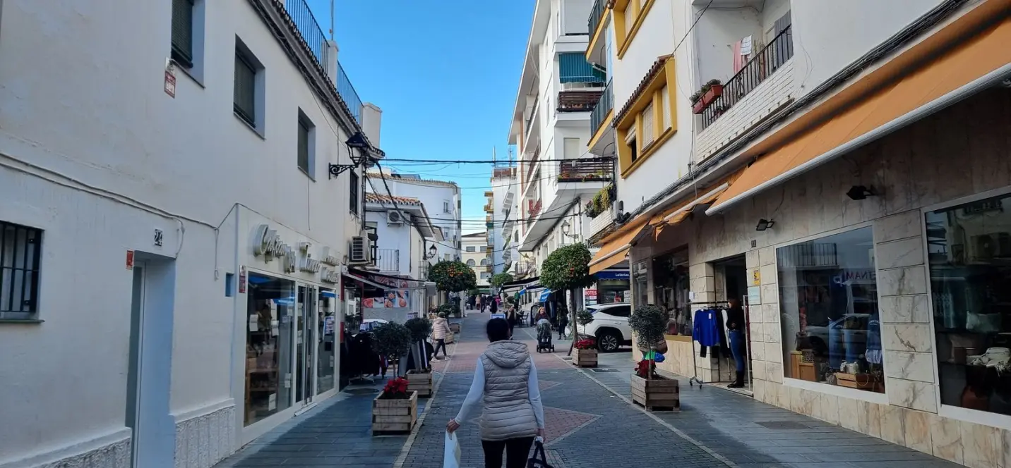 Sale of commercial premises in San Pedro de Alcántara 1