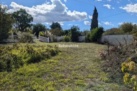 Image 6 thumb