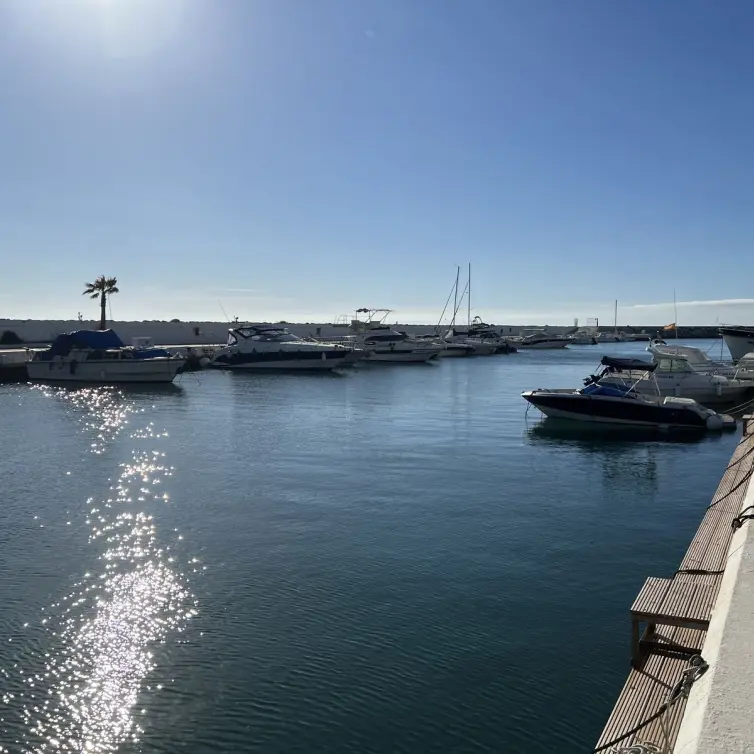 Sale of ground floor apartment in Puerto de Cabopino