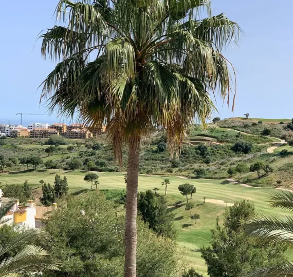 Venta de ático en La Cala de Mijas