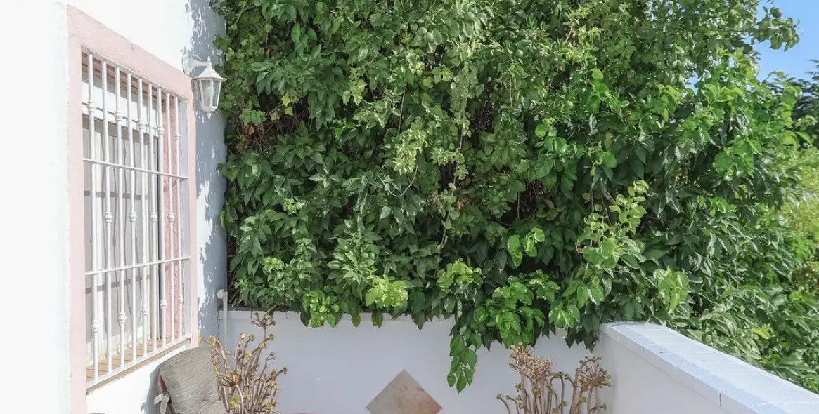 Venta de villa independiente en Cártama 96