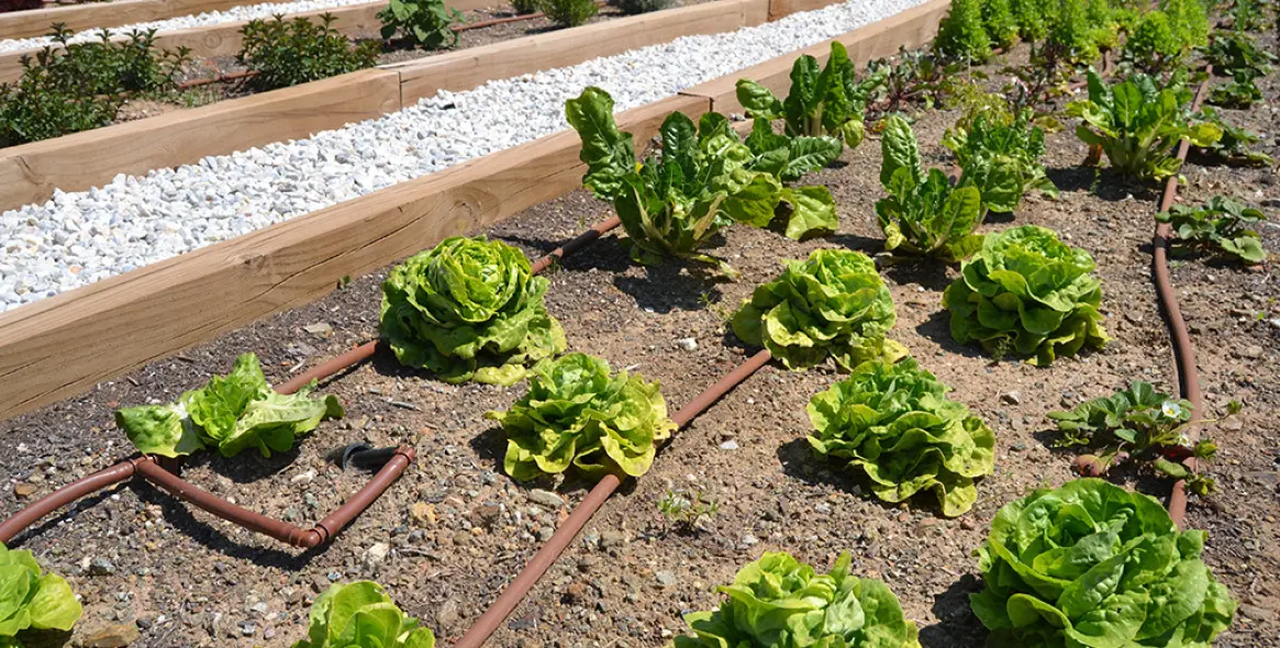 Продажа апартаментов на первом этаже в Fuengirola 44