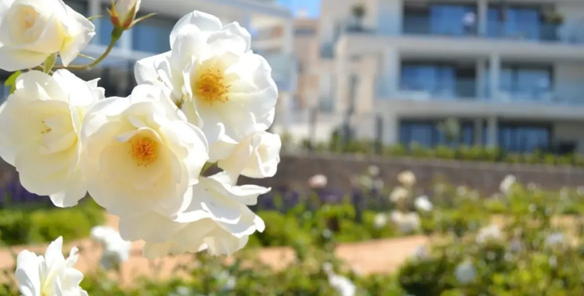 Продажа апартаментов на первом этаже в Fuengirola 46