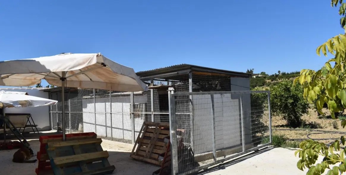 Продажа финки в Alhaurín el Grande 4