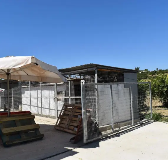 Sale of finca - cortijo in Alhaurín el Grande