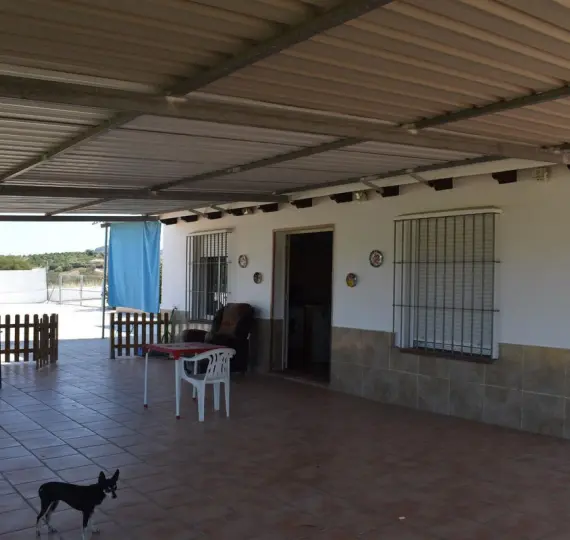 Sale of finca - cortijo in Alhaurín el Grande