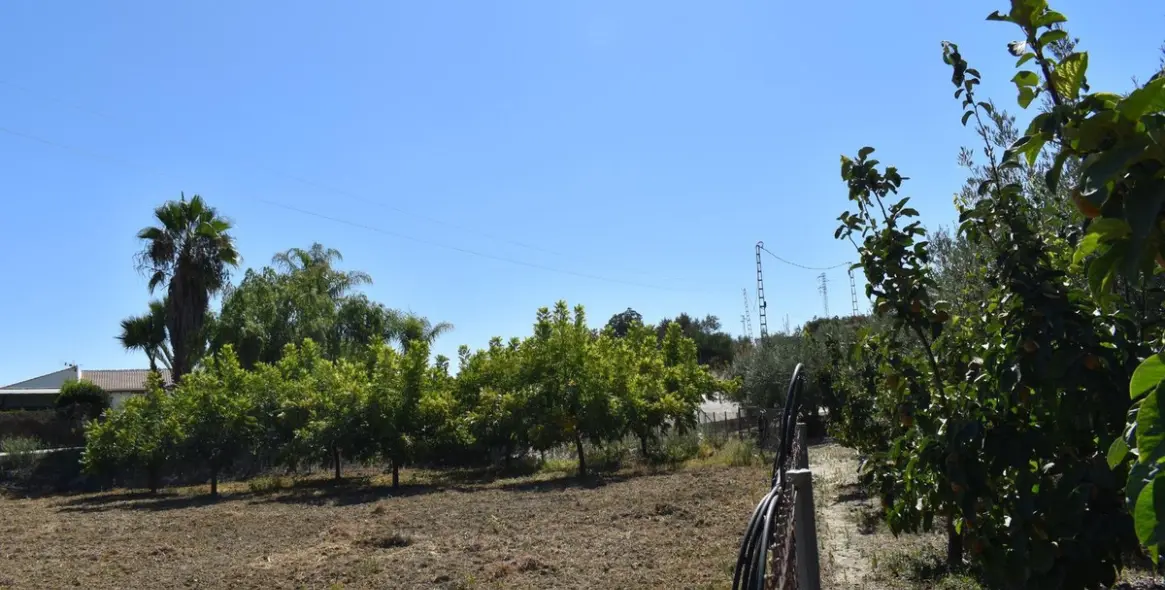Продажа финки в Alhaurín el Grande 20