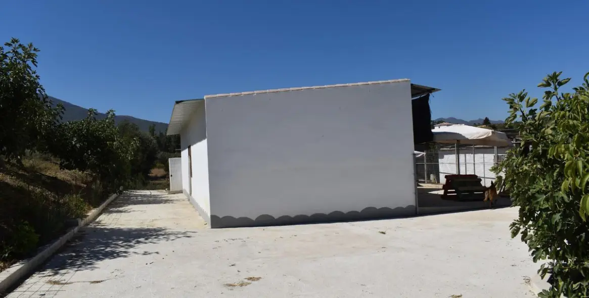 Продажа финки в Alhaurín el Grande 21